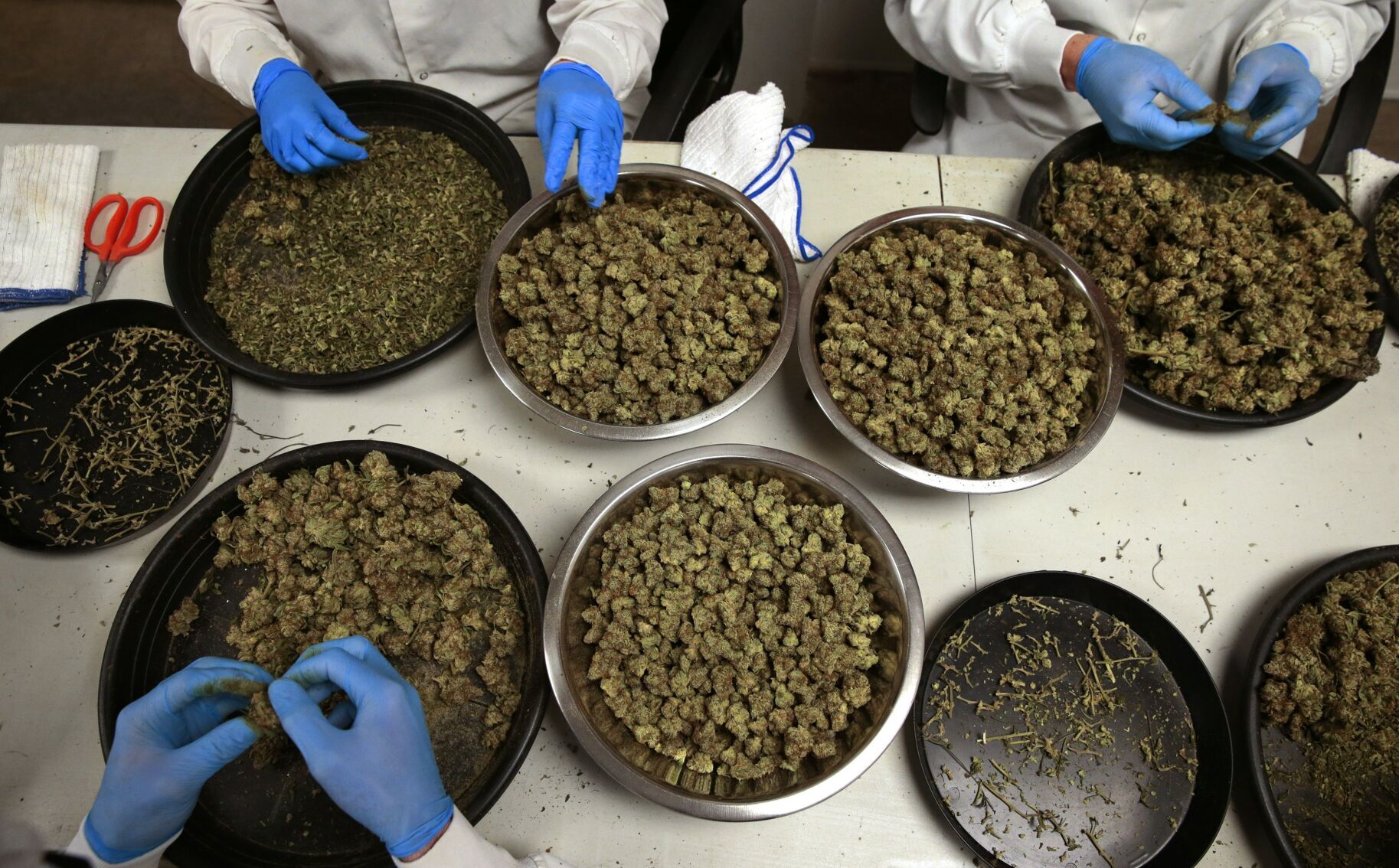 Booming Missouri cannabis industry looks to soar higher with amendment passage